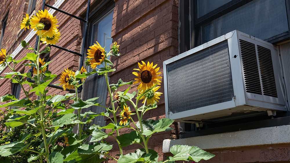 How to Hide a Window Air Conditioner