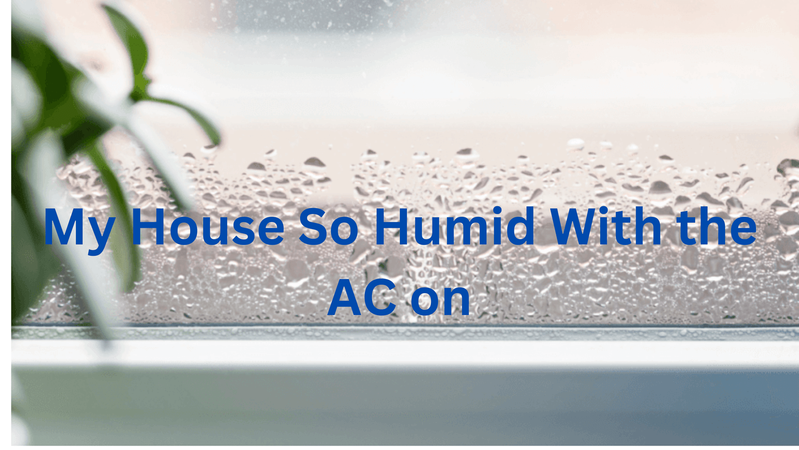 Why is My House So Humid With the AC on Discover Effective Solutions!