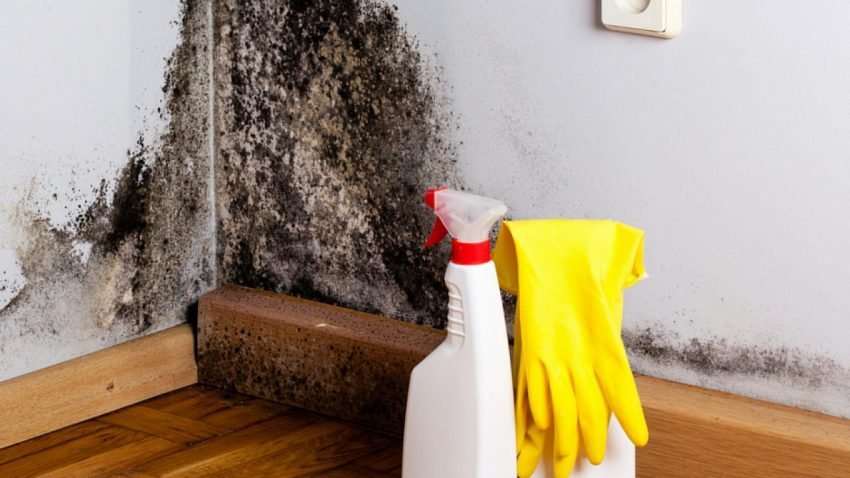 How to Get Rid of Mold in Ac Unit