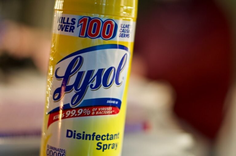 Will Lysol Kill Mold in Air Conditioner